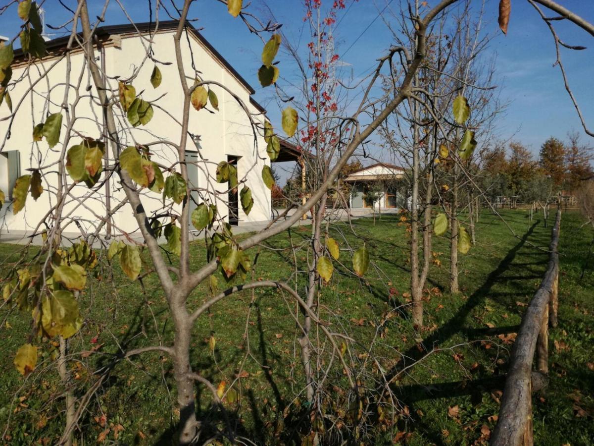 Agriturismo Corte Benetti Rovigo Exterior foto