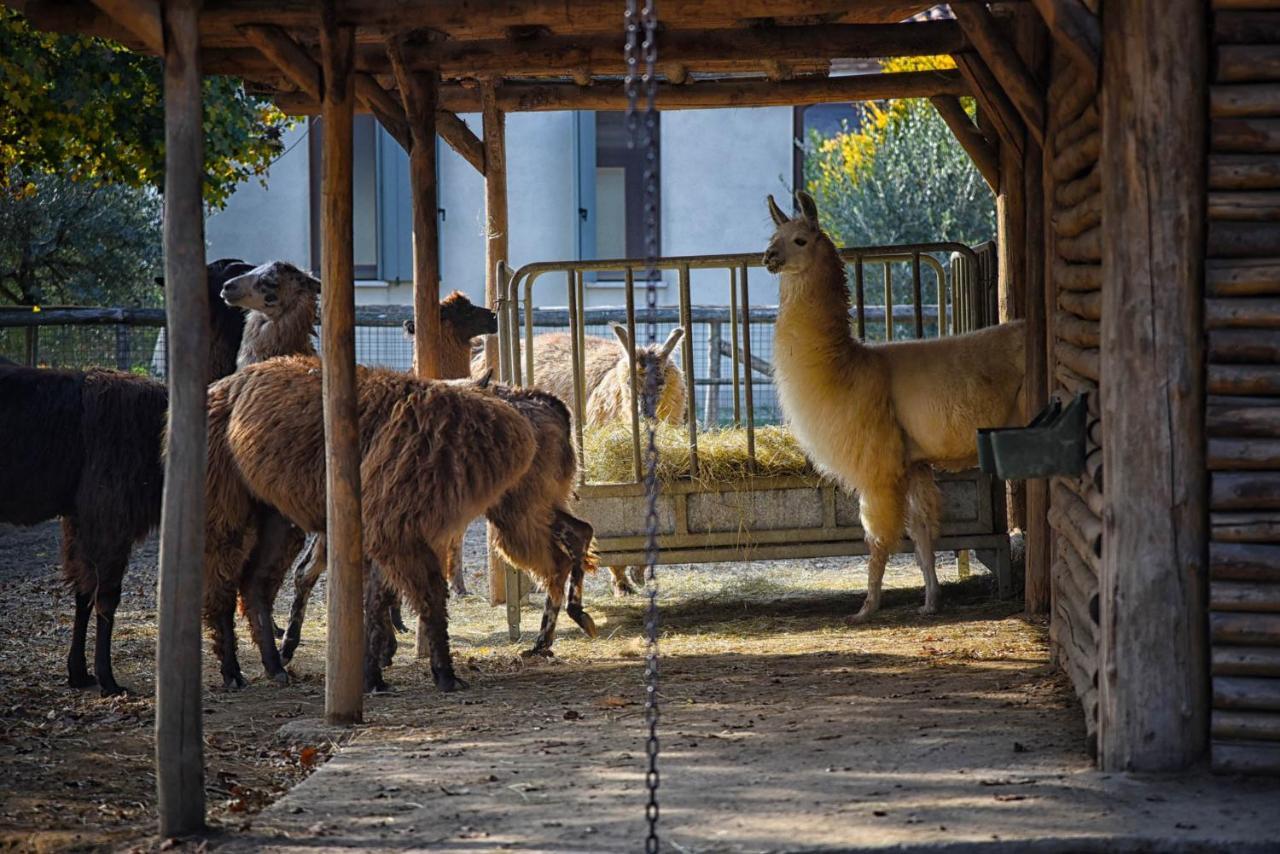 Agriturismo Corte Benetti Rovigo Exterior foto