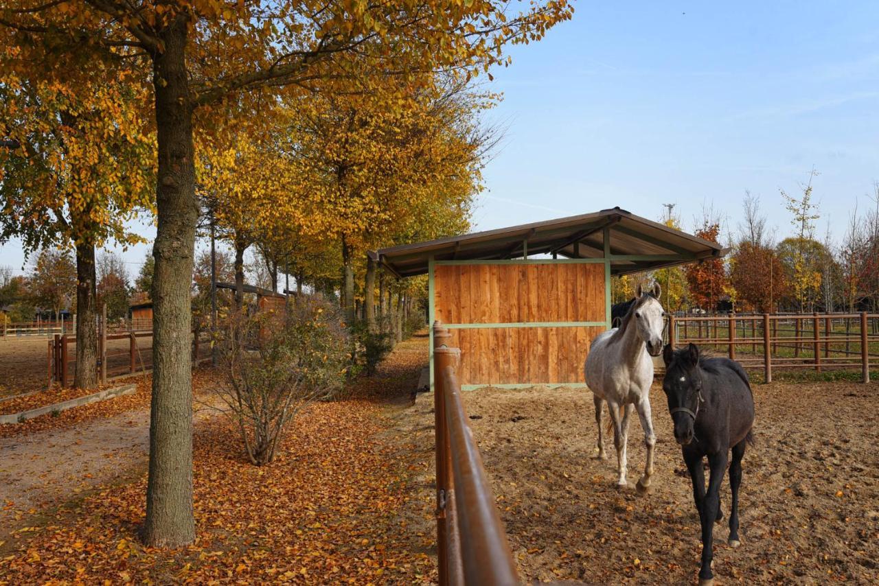 Agriturismo Corte Benetti Rovigo Exterior foto