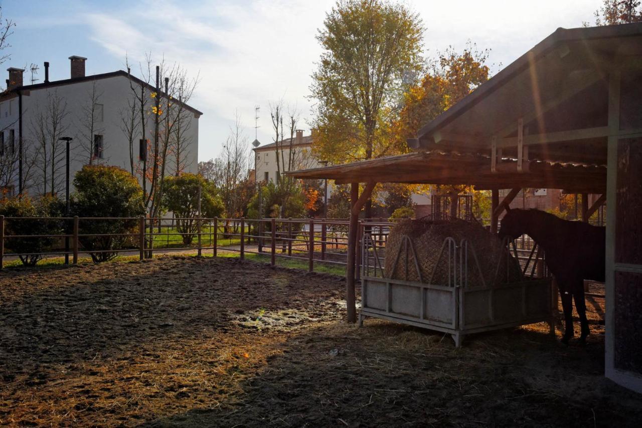 Agriturismo Corte Benetti Rovigo Exterior foto